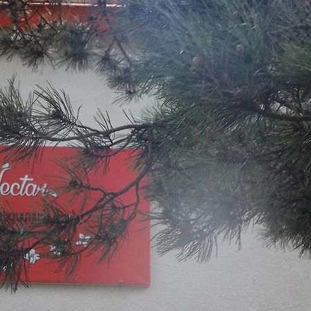 Nectar Hotel Дилиян Екстериор снимка